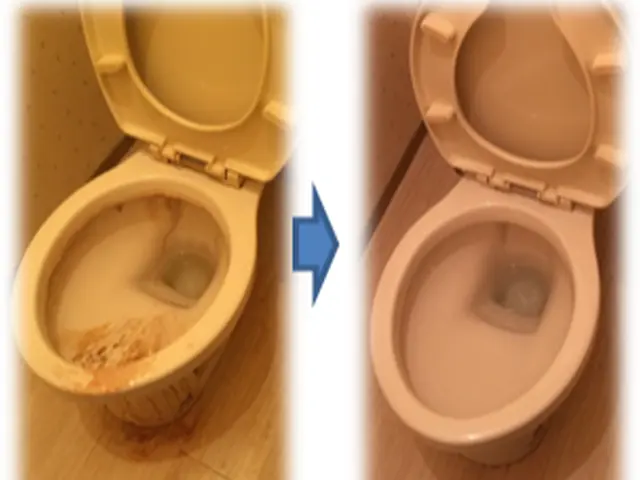 面倒なトイレ掃除お任せください！尿石もしっかり綺麗にいたします♪サービスの画像