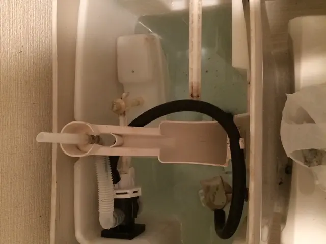 面倒なトイレ掃除お任せください！尿石もしっかり綺麗にいたします♪サービスの画像