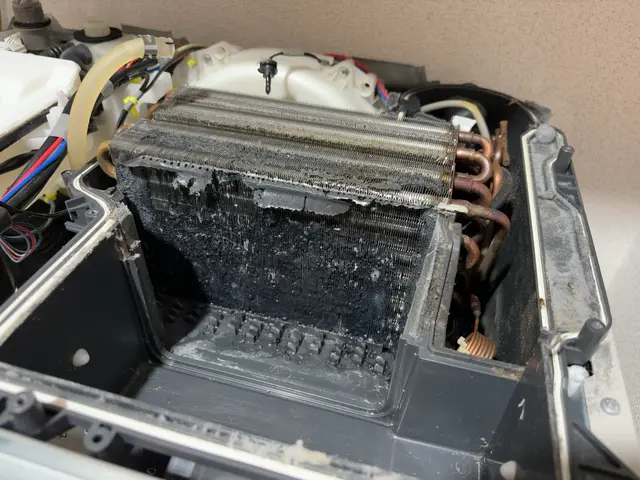 【丁寧な作業に自信があります！】分解徹底洗浄で乾燥機能回復！臭い改善！◎サービスの画像