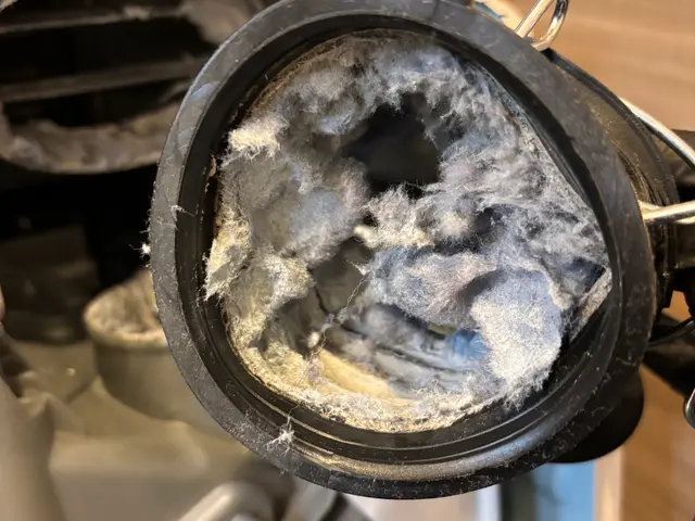 【丁寧な作業に自信があります！】分解徹底洗浄で乾燥機能回復！臭い改善！◎サービスの画像