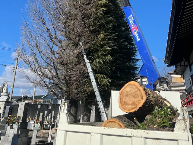 外観の美しさを最大限に引き出し、掃除まで丁寧に対応いたします！サービスの画像