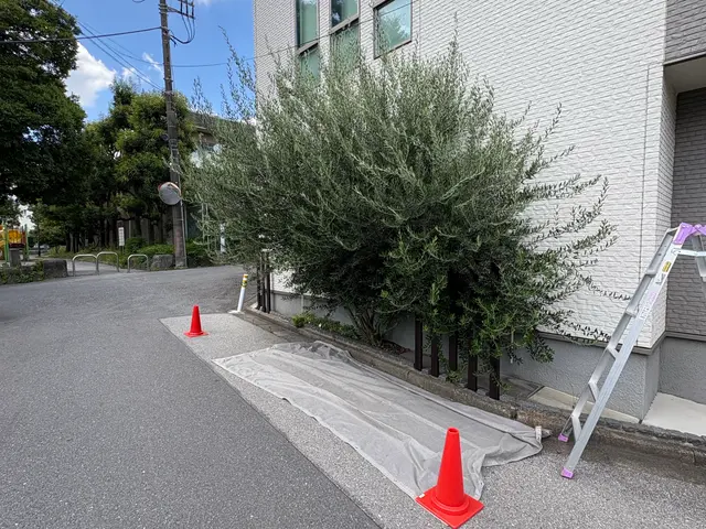 写真見積り♪低木3000〜5000円です♪シンボルツリー・自然風剪定が得意です！サービスの画像