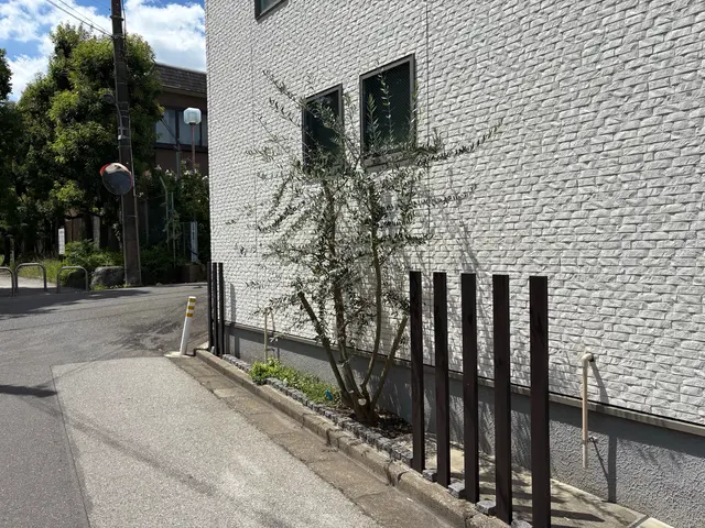 写真見積り♪低木3000〜5000円です♪シンボルツリー・自然風剪定が得意です！サービスの画像