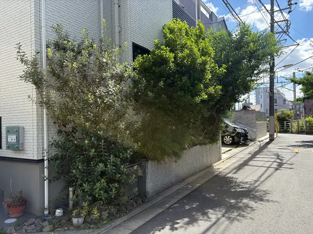 写真見積り♪低木3000〜5000円です♪シンボルツリー・自然風剪定が得意です！サービスの画像