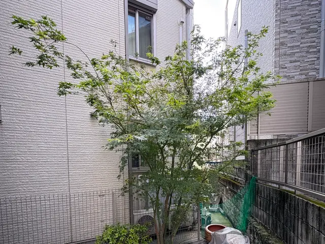 写真見積り♪低木3000〜5000円です♪シンボルツリー・自然風剪定が得意です！サービスの画像