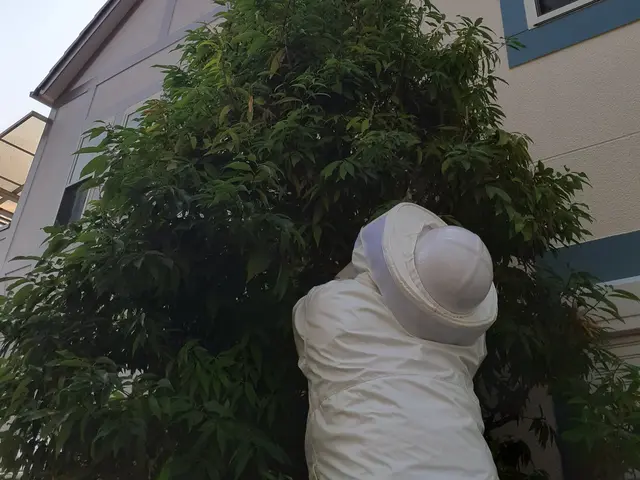 害虫駆除業界で15年以上の実績　当日・翌日の対応も可能です。お気軽にご相談下さいサービスの画像