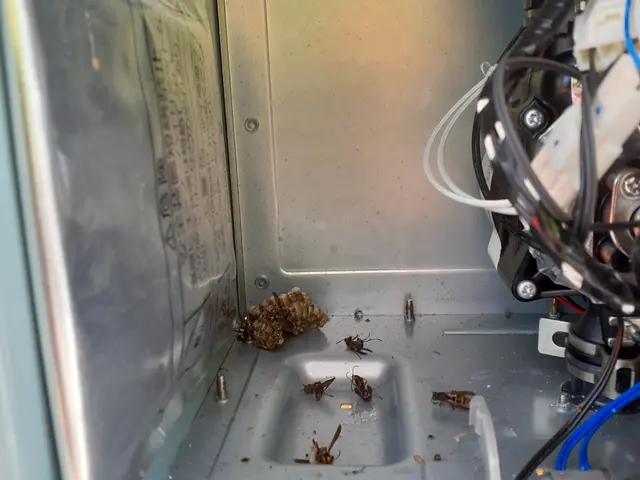 害虫駆除業界で15年以上の実績　当日・翌日の対応も可能です。お気軽にご相談下さいサービスの画像