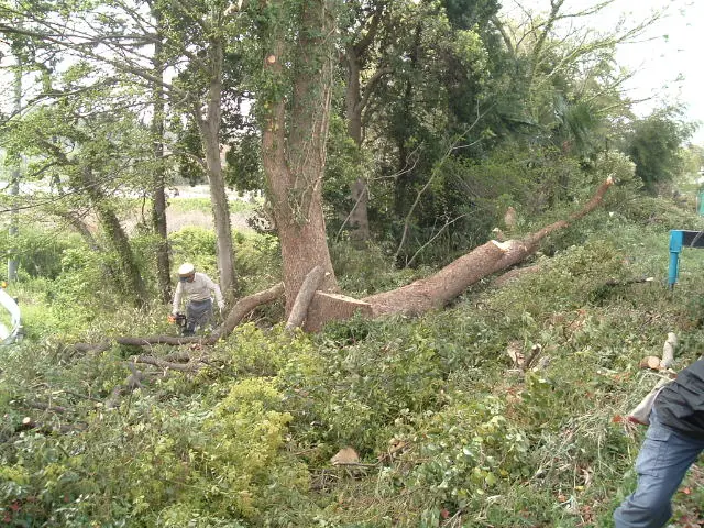 40年間無事故。クレーン付車等、完備。サービスの画像