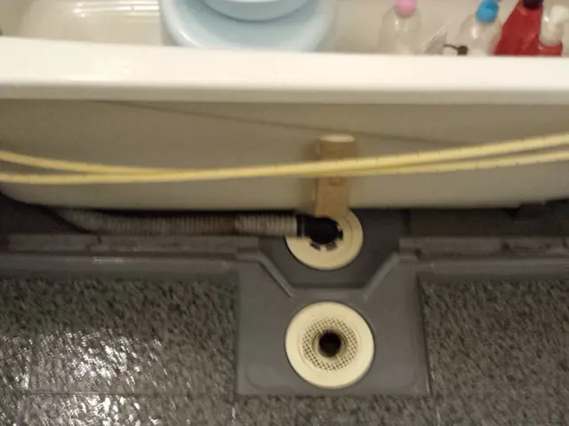 ☆入居退出☆ご出産前☆清潔に浴室クリーニング！　当日決済1000円値引きサービスの画像