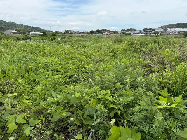 お客様から信頼いただけるよう、一つ一つの作業を迅速丁寧に対応します！サービスの画像