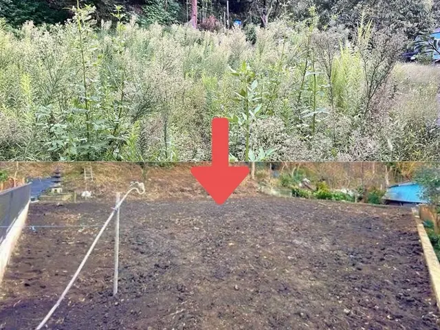 お忙しい方必見立会い無可能！個人様法人様ご好評頂いてます☆空き地や更地などOK！サービスの画像