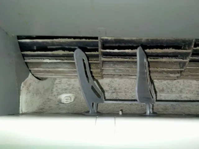 ★赤ちゃんペットに優しい洗剤。2台目以降2,000円引。防カビ抗菌コートサービスサービスの画像