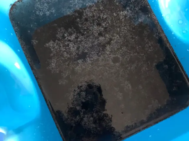 家ピカ本舗の加盟店◎年間1000件以上の作業実績◎損害保険加入◎創業１２年以上サービスの画像