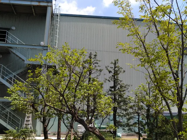 自然の美しさを生かす手入れ、心地よい庭づくりを心がけております。サービスの画像