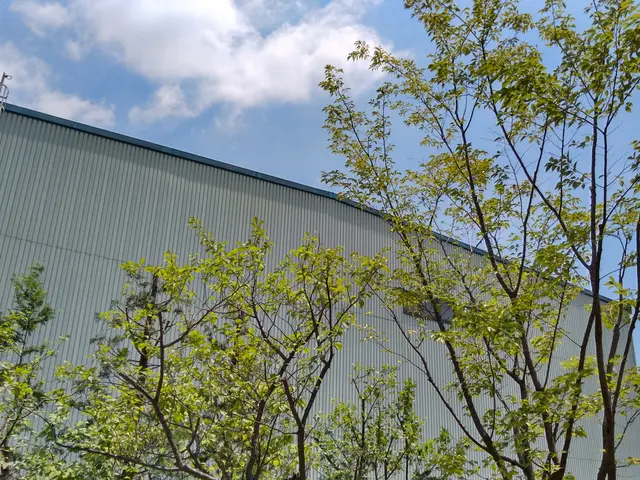 自然の美しさを生かす手入れ、心地よい庭づくりを心がけております。サービスの画像