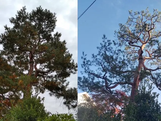 自然の美しさを生かす手入れ、心地よい庭づくりを心がけております。サービスの画像