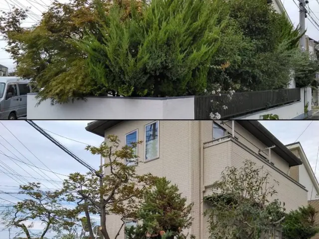 自然の美しさを生かす手入れ、心地よい庭づくりを心がけております。サービスの画像