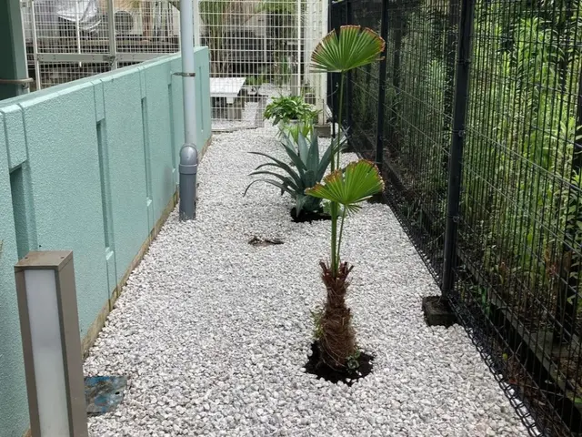 【業歴25年の実績】年中無休◎本格的に夏が始まる前に雑草対策◎長持ちするお庭へ♪サービスの画像