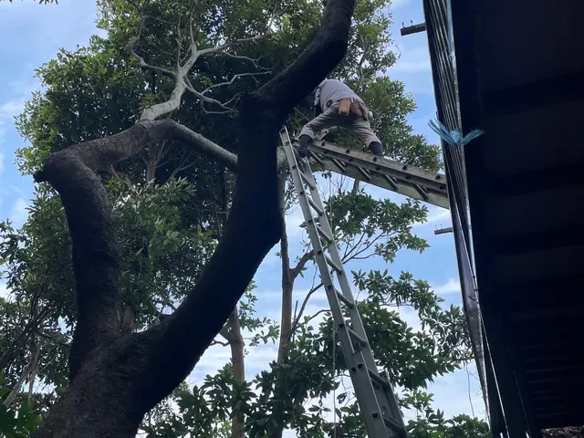 業界歴30年・30,000件以上の経験、ベテランにしかできない技庭木剪定職人夫婦サービスの画像