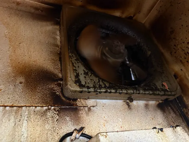 油汚れ、ヤニ、ほこりピカピカにします！レンジフードのクリーニングサービスの画像