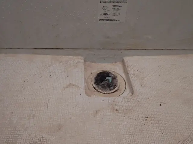 関西圏  簡易清掃 (キッチン、お風呂、換気扇のみ)(対応不可例あり)サービスの画像