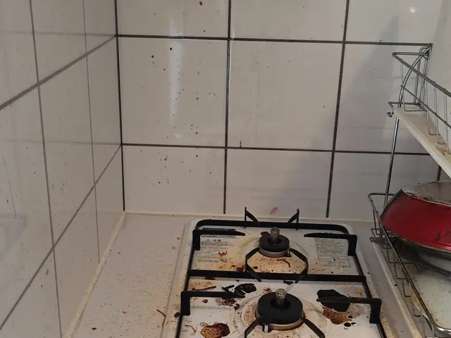 関西圏  簡易清掃 (キッチン、お風呂、換気扇のみ)(対応不可例あり)サービスの画像