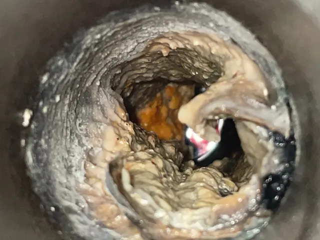 すべての排水口、汚水マスをキレイに。現在通常¥22000を割引キャンペーン中サービスの画像