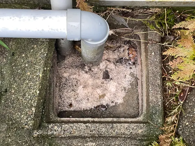 すべての排水口、汚水マスをキレイに。現在通常¥22000を割引キャンペーン中サービスの画像