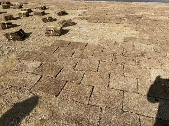 ◆職人歴15年◆一級造園施工管理者技能経験あり◆駐車代お店負担◆親切丁寧！サービスの画像