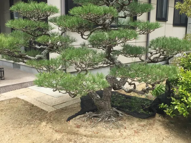 【業界18年！経験豊富なプロが伺います！】営業時間外の予約も相談可能です。サービスの画像