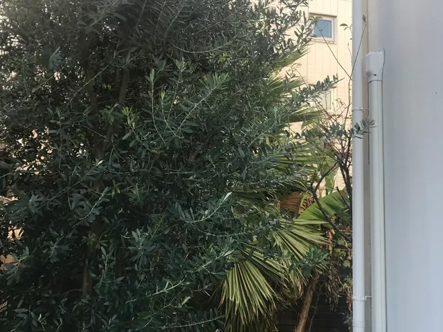 【業界18年！経験豊富なプロが伺います！】営業時間外の予約も相談可能です。サービスの画像