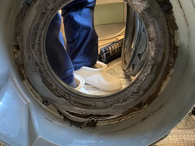 【ドラム式洗濯機分解洗浄】乾燥時間が長く感じたらクリーニングしませんか？サービスの画像