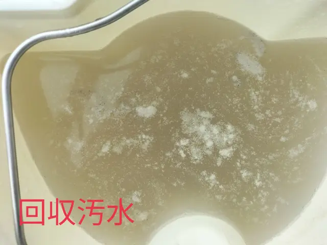 ソファー・マットレス等の専門クリーニング店です。ダイニングチェアにも対応。サービスの画像