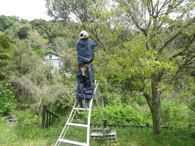 創業50年歴史ある造園業者(駐車場代店負担/女性スタッフ同行可/保険加入済)サービスの画像
