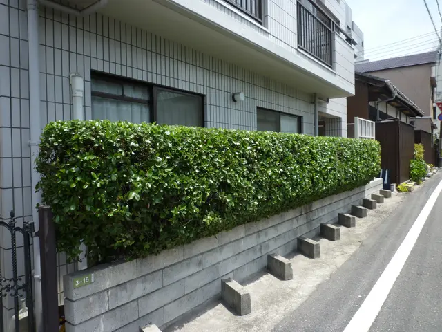 樹木の医者が指揮対応いたします！サービスの画像