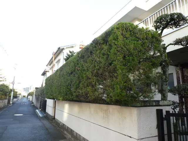 26年の経験ありで、樹木の医者です！★非喫煙者◉縮景園など剪定の経験あり☆サービスの画像