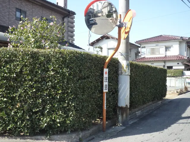 樹木の医者が指揮対応いたします！サービスの画像