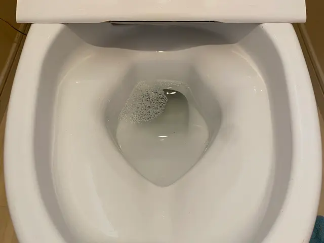 空間を美しく蘇らせる丁寧で安心のプロフェッショナルサービス！快適トイレ空間！サービスの画像