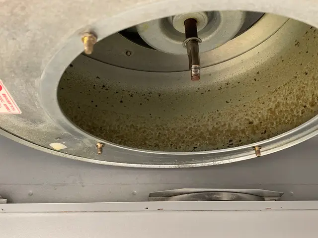 【レンジフード】年内の受付は終了致しました。リピートの方、ご連絡下さい。サービスの画像