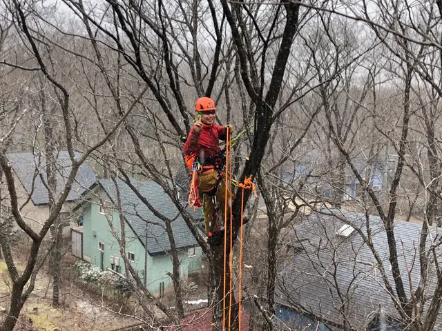 ９月空き有！お庭を綺麗にしませんか？営業時間外対応◎施工後ご相談もお任せ下さい！サービスの画像