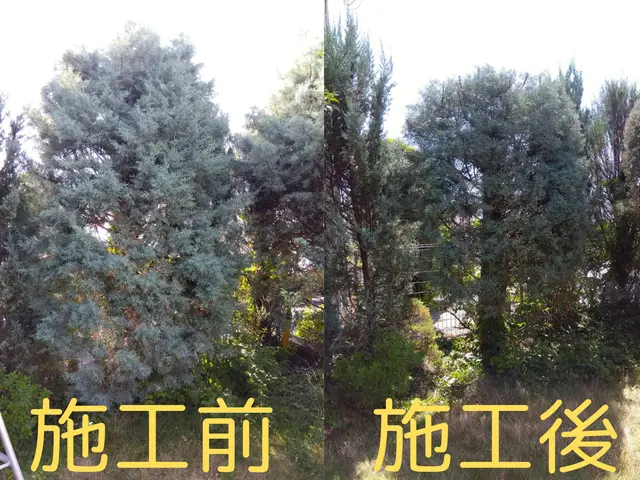 ９月空き有！お庭を綺麗にしませんか？営業時間外対応◎施工後ご相談もお任せ下さい！サービスの画像