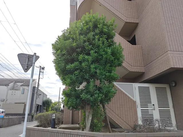 【荒川区】損害保険加入済み！御客様のご納得のいく庭作りを目指しております！サービスの画像