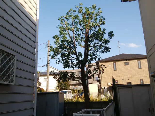 【荒川区】損害保険加入済み！御客様のご納得のいく庭作りを目指しております！サービスの画像