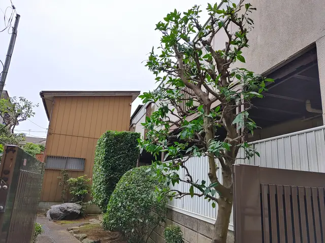 【荒川区】損害保険加入済み！御客様のご納得のいく庭作りを目指しております！サービスの画像