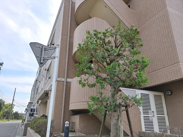 【荒川区】損害保険加入済み！御客様のご納得のいく庭作りを目指しております！サービスの画像