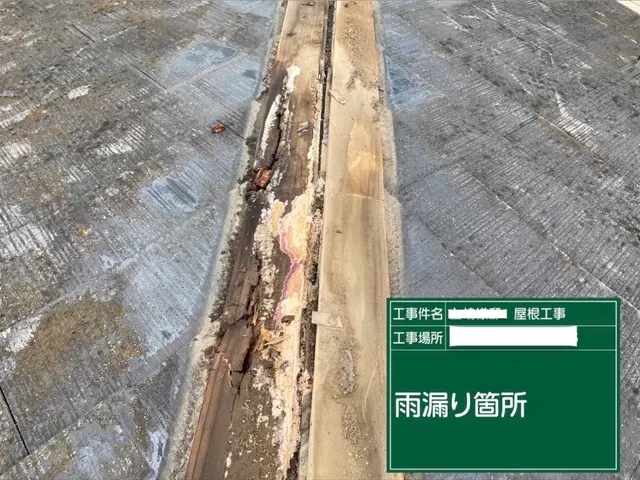 【口コミ価格★★★】"想像以上の仕上がり"をリーズナブルに！写真の代表が伺いますサービスの画像