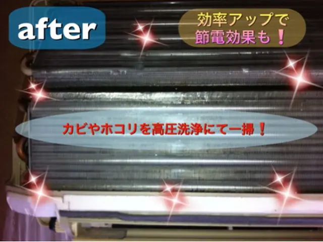 岡山県★1月限定新年キャンペーン★1台が7700円！お掃除機能付きは14300円サービスの画像