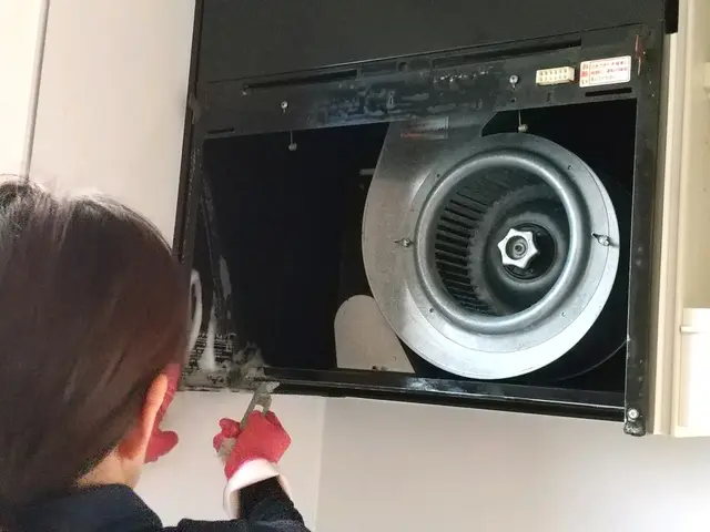 本当のプロが行うクリーニングを体験されませんか？サービスの画像