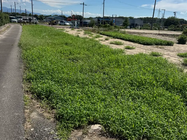 造園会社で6年経験◎刈り払い機で綺麗に仕上げます！サービスの画像