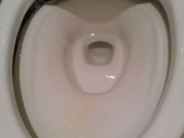 プロの技術でスッキリきれい！トイレクリーニングサービスの画像